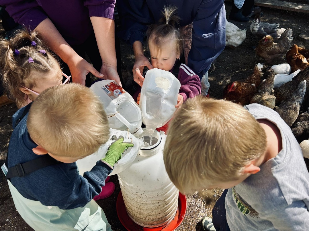 Kids watering chickens together during farm chores
