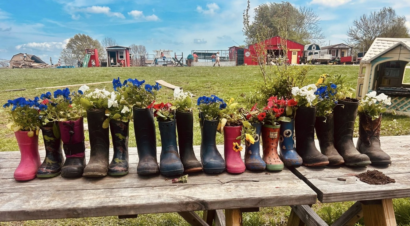Colorful rain boots with flowers planted in them at the farm